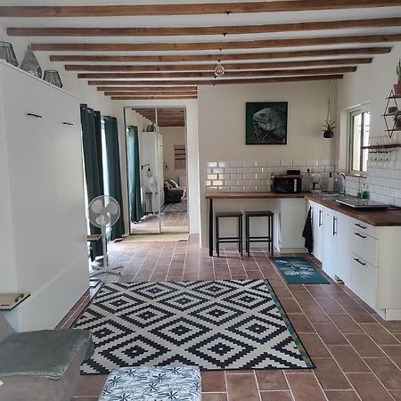 Apartamento Chez Chapelle In The Heart Of The Gascony With Pool And Hot Tub Auch Exterior foto