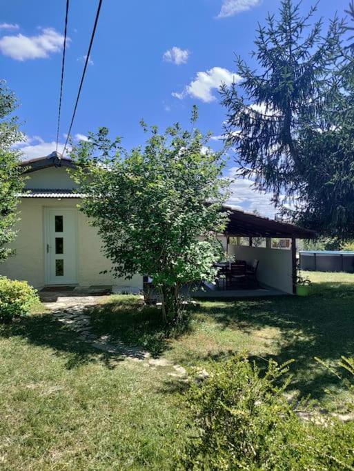 Apartamento Chez Chapelle In The Heart Of The Gascony With Pool And Hot Tub Auch Exterior foto
