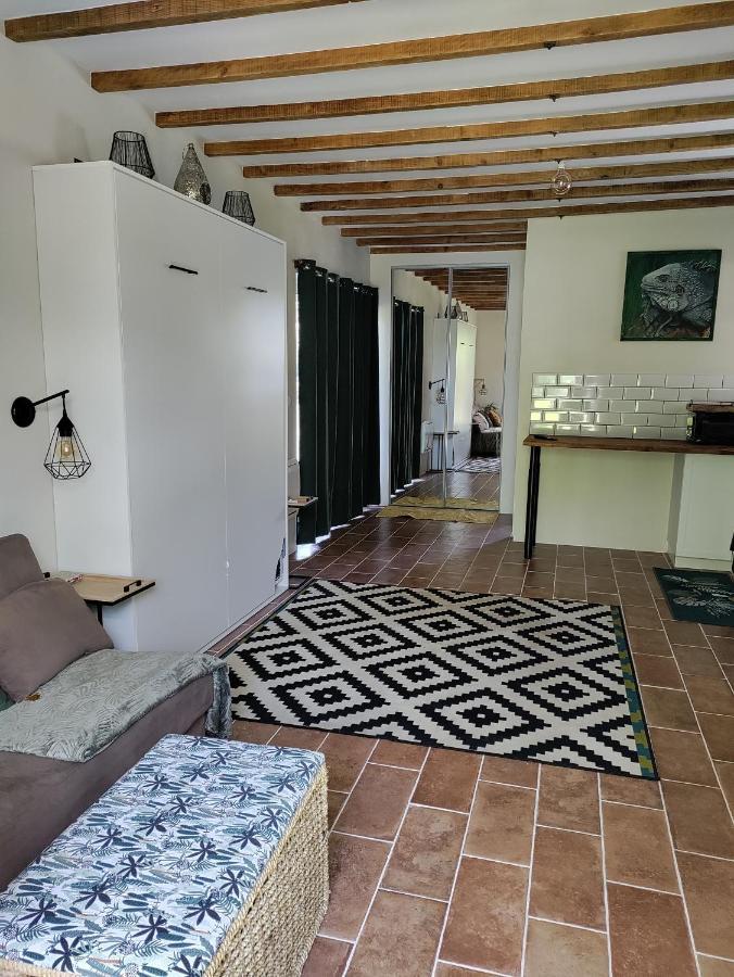Apartamento Chez Chapelle In The Heart Of The Gascony With Pool And Hot Tub Auch Exterior foto