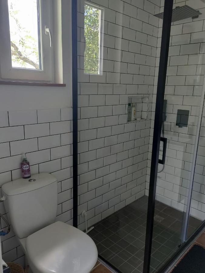 Apartamento Chez Chapelle In The Heart Of The Gascony With Pool And Hot Tub Auch Exterior foto