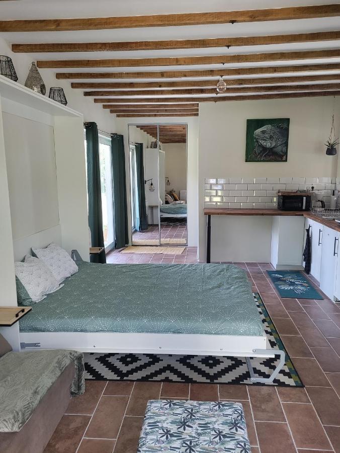 Apartamento Chez Chapelle In The Heart Of The Gascony With Pool And Hot Tub Auch Exterior foto