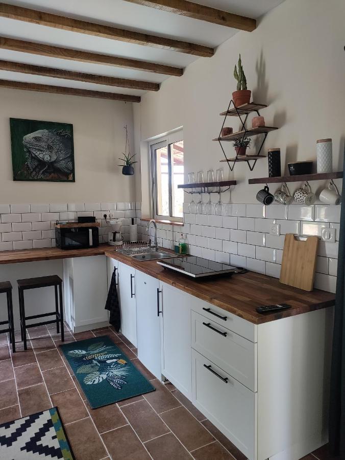 Apartamento Chez Chapelle In The Heart Of The Gascony With Pool And Hot Tub Auch Exterior foto