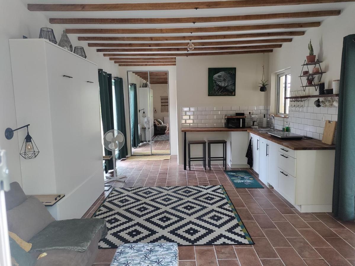 Apartamento Chez Chapelle In The Heart Of The Gascony With Pool And Hot Tub Auch Exterior foto