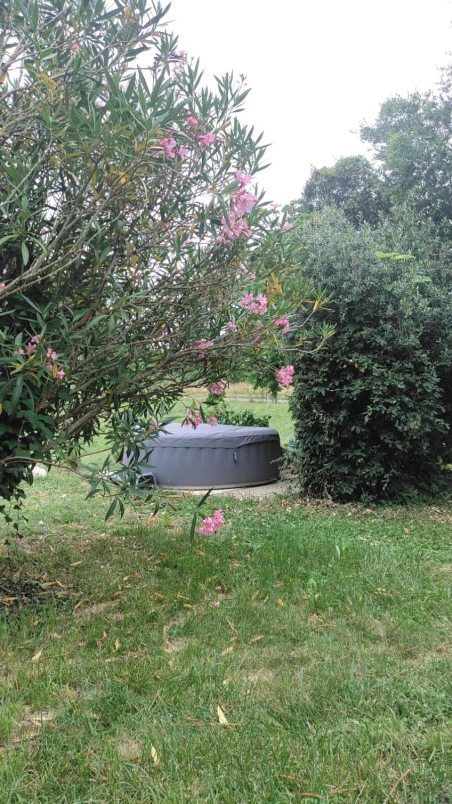 Apartamento Chez Chapelle In The Heart Of The Gascony With Pool And Hot Tub Auch Exterior foto